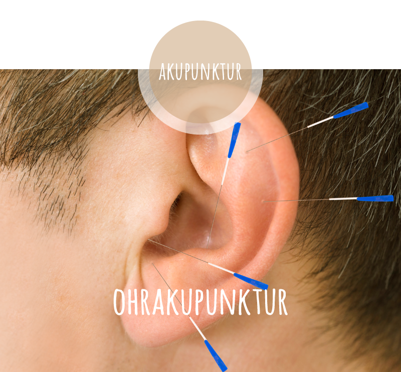 ohrakupunktur bei andrea schwarz-Lehmann - Osteopathie Praxis Eppendorf